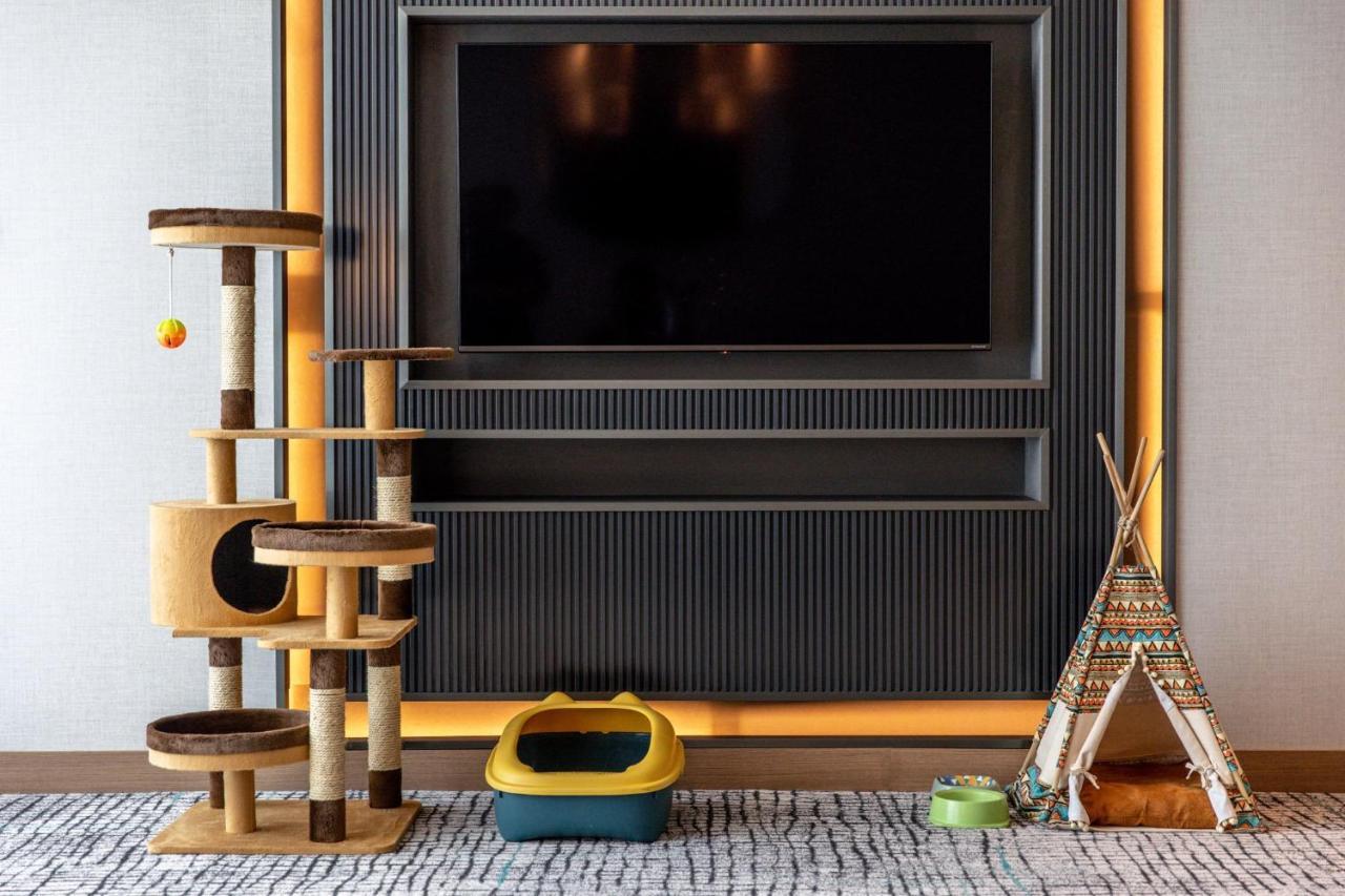 Kimpton Maa-Lai Bangkok By Ihg Hotel Eksteriør billede Cat furniture